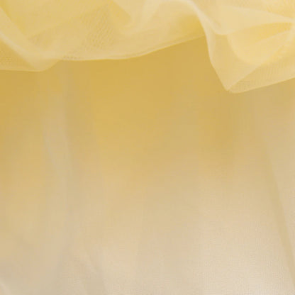 Fantasia Infantil Princesa Tiana